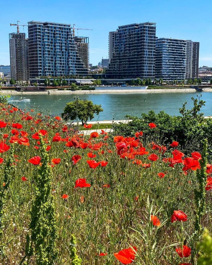 Dom Boutique Apartments - Park View Beograd Eksteriør bilde
